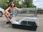 Kooi voor knaagdieren – groot model met huisje, Ophalen of Verzenden, Kooi, Cavia