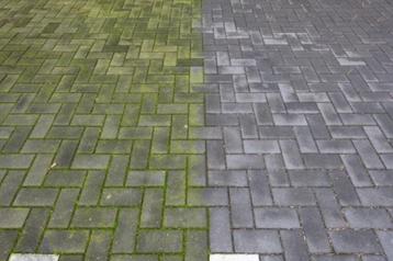 ONDERAANNEMING TUINAANLEG EN ONDERHOUD  beschikbaar voor biedingen