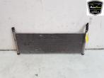RADIATEUR Tesla Model X (|104849800C|104849800B|), Gebruikt, Overige automerken