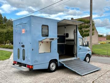 🐴Mercedes Sprinter 311CDI Automaat Paardencamionette Horses beschikbaar voor biedingen