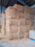 Strobalen 80 cm - 80 cm - 2 m (40 balen), Ophalen, Vee