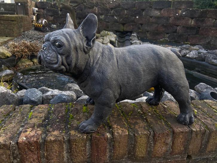 Betonnen Franse Bulldog, Tuin en Terras, Tuinbeelden, Nieuw, Dierenbeeld, Beton, Ophalen