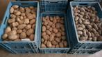 POMME DE TERRE BIO de mon jardin, Tuin en Terras, Ophalen