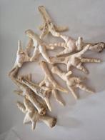 Gratis gedroogde kippenpoten, Dieren en Toebehoren, Ophalen, Hond