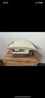 Ancienne échelle, Enlèvement