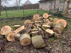 Brandhout populier op maat gezaagd, 3 à 6 m³, Enlèvement, Autres essences de bois, Bûches