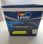 Levis verf mojito, Enlèvement, Peinture