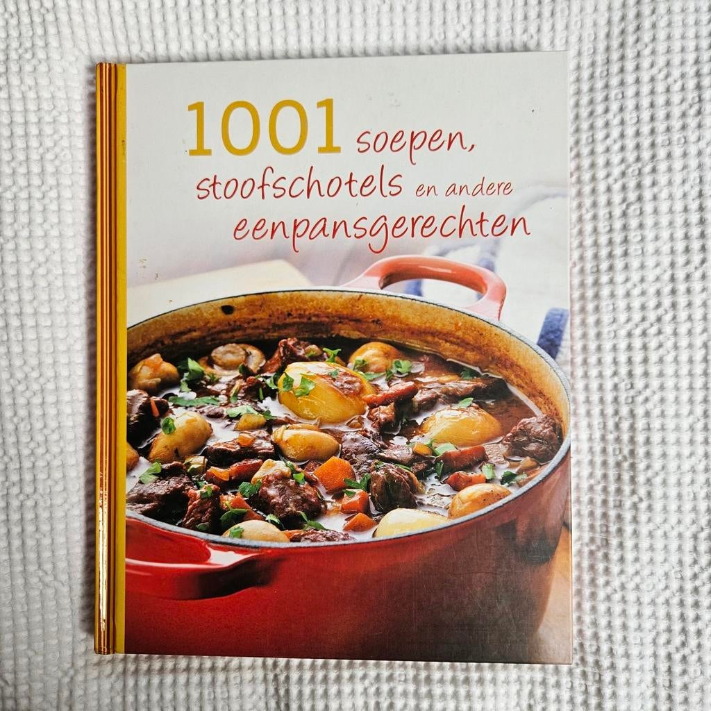 1001 soepen, stoofschotels en andere eenpansgerechten, Livres, Livres de cuisine, Enlèvement ou Envoi, Neuf, Europe, Plat principal