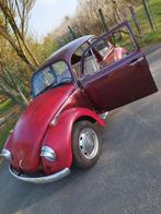 Cox, Autos, Particulier, Achat