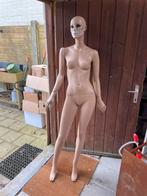 Paspop, Kleding | Dames, Ophalen, Gebruikt