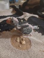 Kakarikis  voor handopfok, Dieren en Toebehoren, Vogels | Parkieten en Papegaaien, Geslacht onbekend, Parkiet, Geringd