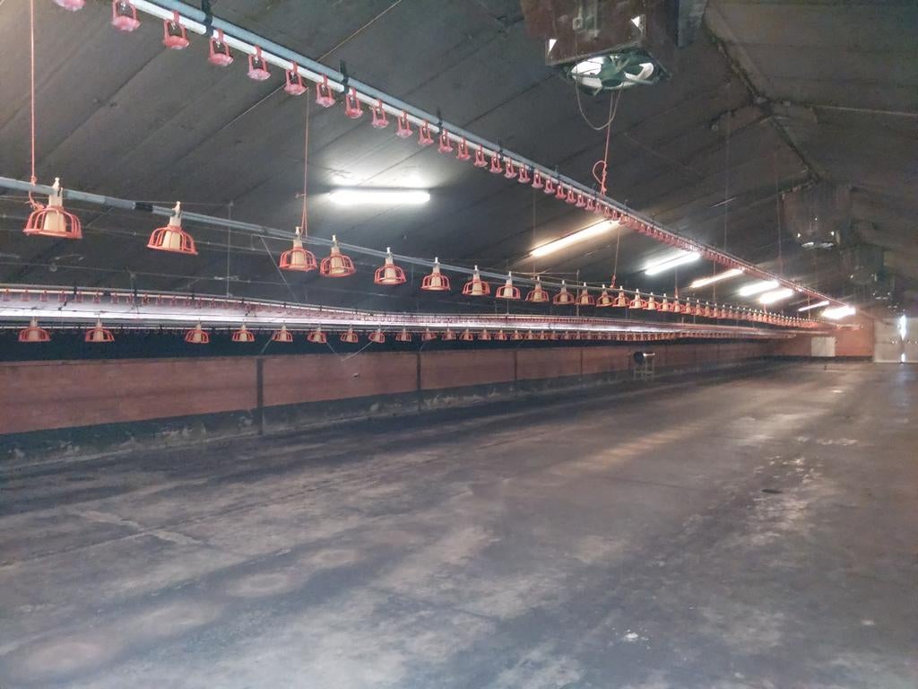 Vethanen  installatie