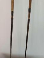 Afrikaanse Werp speer duo, Enlèvement