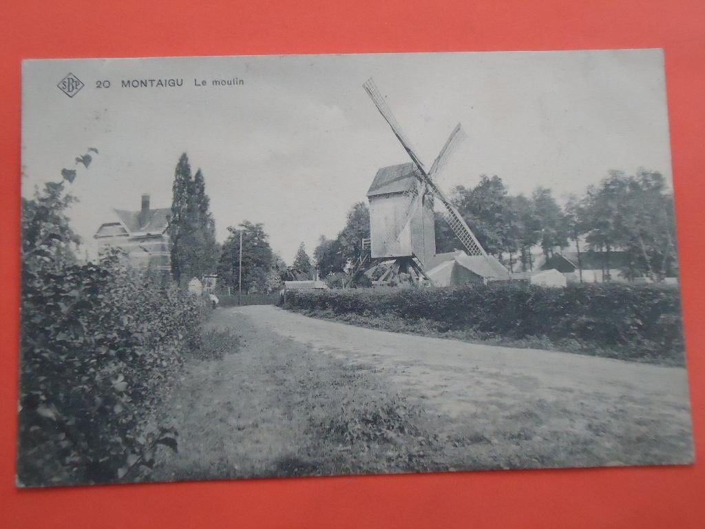 Scherpenheuvel , Montaigu Le Moulin - De Molen SBP nr. 20, Verzamelen, Ophalen of Verzenden, Voor 1920, Gelopen, Vlaams-Brabant