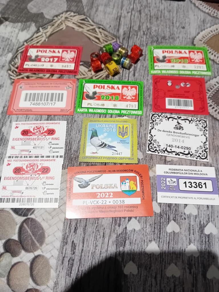 Duivenduif duivenringen duif duivenring