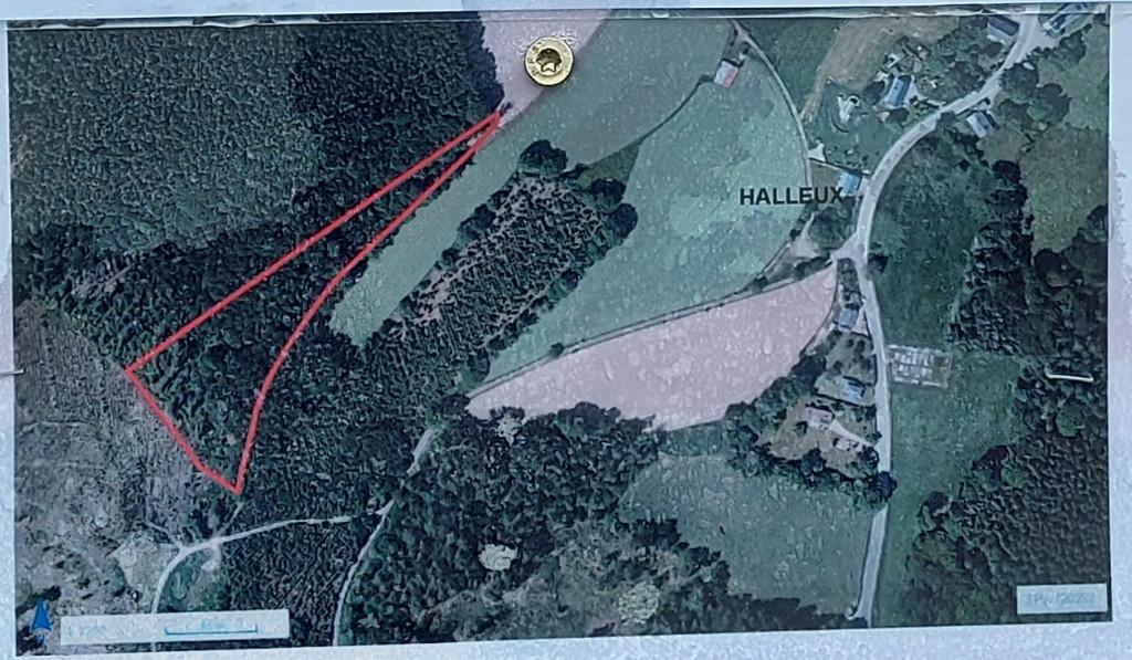 Bois et fond de bois., Immo, Terrains & Terrains à bâtir, 6986 Halleux, 1500 m² ou plus