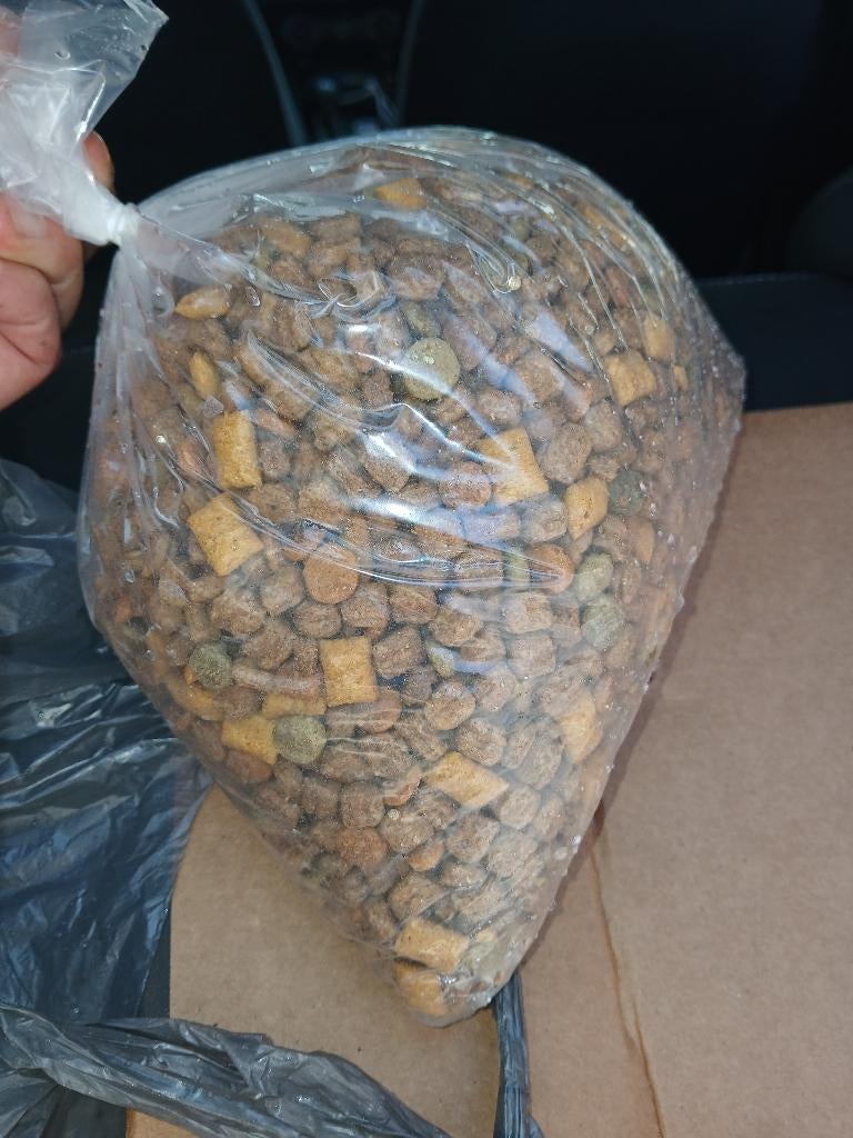 Kat eten, Dieren en Toebehoren, Ophalen, Kat