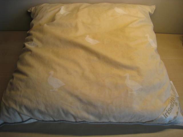 Hoofdkussen Irisette, 60x60, vulling 500 gr, 50% ganzendons, Huis en Inrichting, Slaapkamer | Beddengoed, Ophalen
