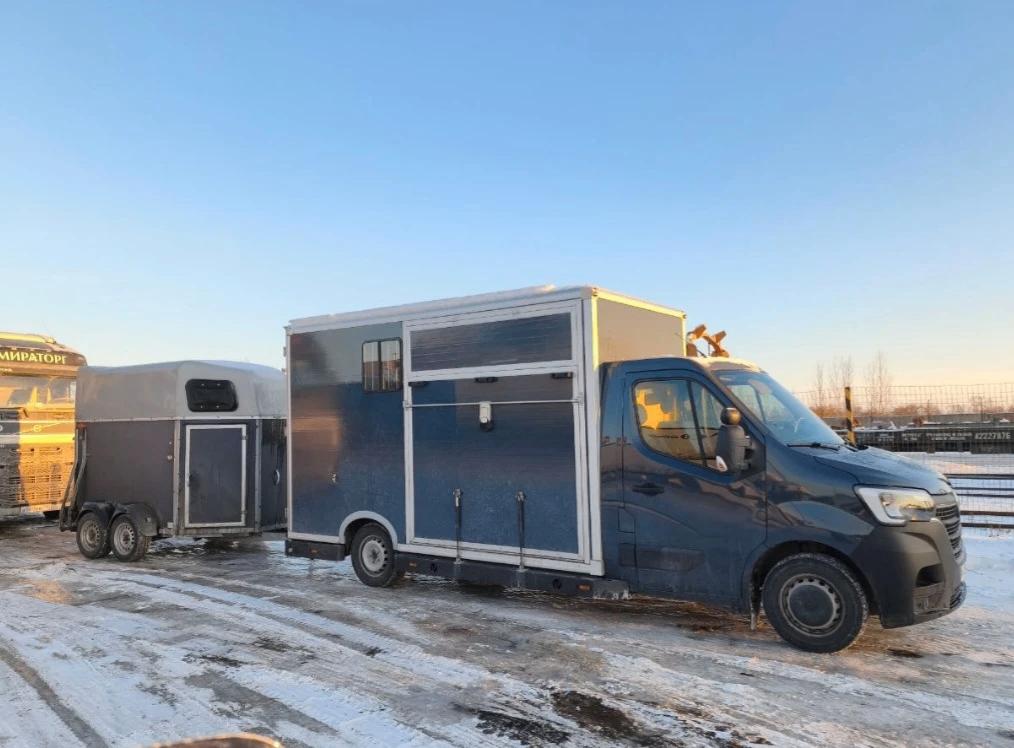 Paardentrailer, Ophalen, Gebruikt, Overige materialen, 2-paards trailer