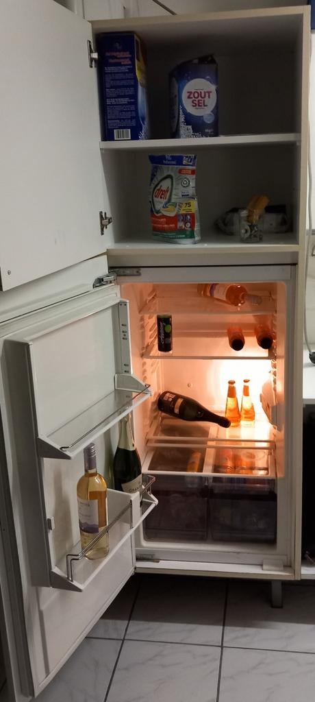 Koelkast, Elektronische apparatuur, Koelkasten en IJskasten, Ophalen