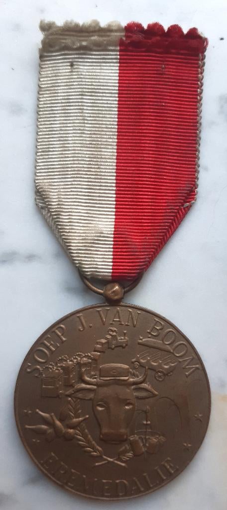 MOOIE EREMEDAILIE VOEDEN EN HELPEN SOEP J.VAN BOOM ANTWERPEN, Verzamelen, Ophalen of Verzenden