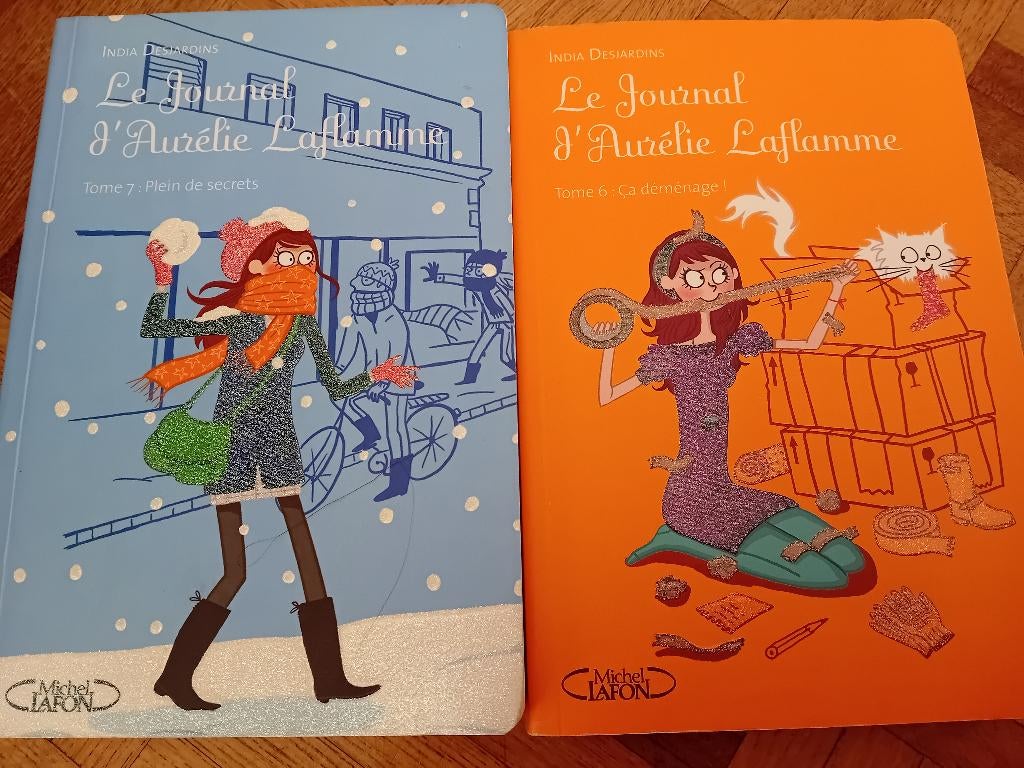 Livre le journal d Aurélie laflamme, Enlèvement ou Envoi