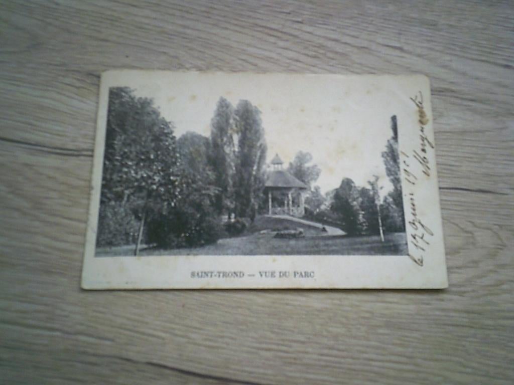 SINT-TRUIDEN /SAINT-TROND: Kiosque - Une vue du Parc, Enlèvement ou Envoi, Avant 1920, Affranchie, Limbourg