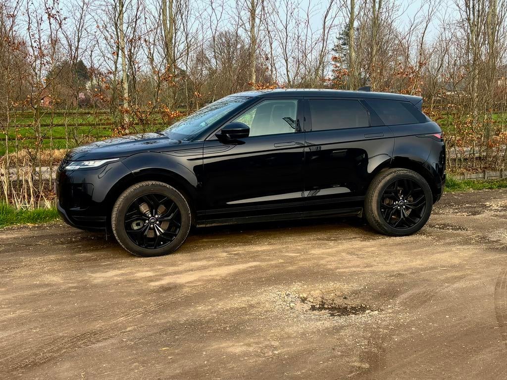 Range Rover Evoque 4x4 150D lichte vracht (100% aftrekbaar), Autos, Land Rover, Particulier, 4x4, ABS, Caméra de recul, Phares directionnels