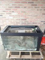 Gratis aquarium, Dieren en Toebehoren, Ophalen
