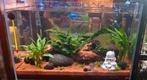 Aquarium 45 x 27 x 30 cm, Dieren en Toebehoren, Vissen | Aquaria en Toebehoren, Ophalen