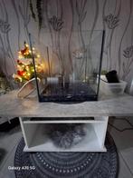 Aquarium, Dieren en Toebehoren, Ophalen