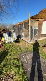 Grote voliere met parkieten & zebravinken in kleine voliere, Dieren en Toebehoren, Meerdere dieren, Parkiet, Geringd