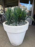 Gratis op te halen, Tuin en Terras, Ophalen, Gebruikt, Beton, Tuin