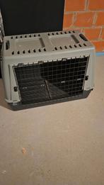 Transportbox hond, Dieren en Toebehoren, Transportboxen, Ophalen, Gebruikt