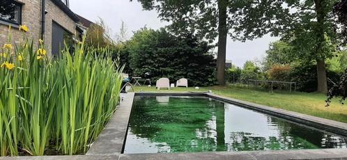 KRISTAL HELDER WATER VOOR ZWEMBADEN EN ZWEMVIJVERS !, Tuin en Terras, Zwembad-toebehoren, Zo goed als nieuw, Filter, Ophalen