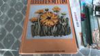 Boek borduren met lint, Hobby en Vrije tijd, Ophalen of Verzenden, Nieuw