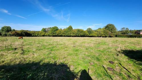 Terrain à vendre à Vielsalm, Immo, Terrains & Terrains à bâtir, 1500 m² ou plus