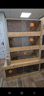 Actie! Rattenslan nk25 met Nieuw terrarium compleet, Dieren en Toebehoren, Reptielen en Amfibieën, Amfibie