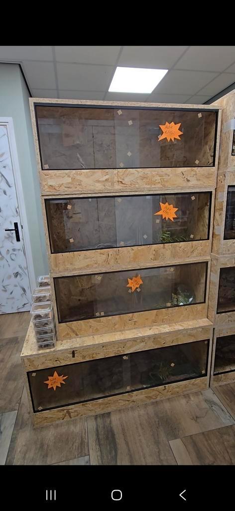 Actie! Rattenslan nk25 met Nieuw terrarium compleet, Dieren en Toebehoren, Reptielen en Amfibieën, Amfibie