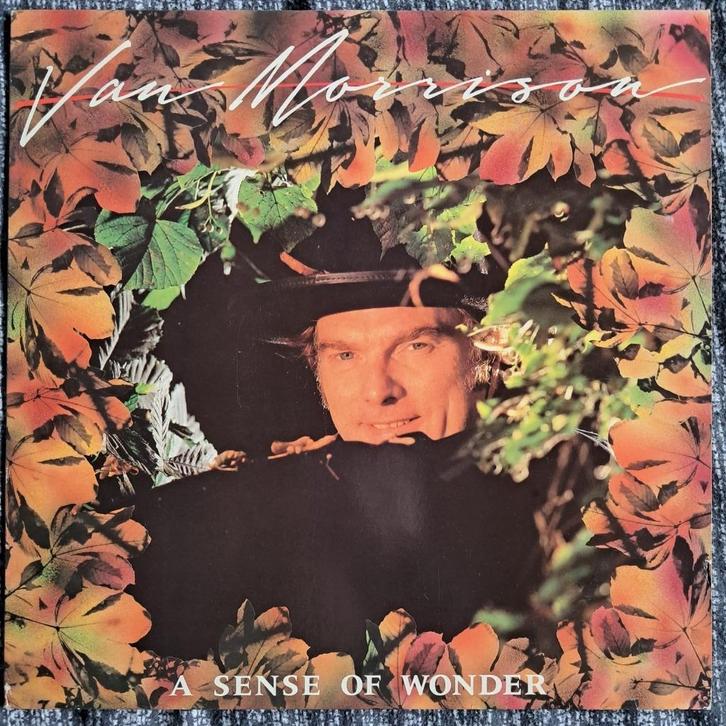 LP Van Morrison –  A Sense Of Wonder, Cd's en Dvd's, Vinyl | Rock, Gebruikt, 12 inch, Ophalen of Verzenden