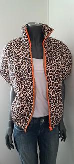 Bodywarmer leopard TU, Maat 38/40 (M), Mei-Li, Oranje, Ophalen of Verzenden