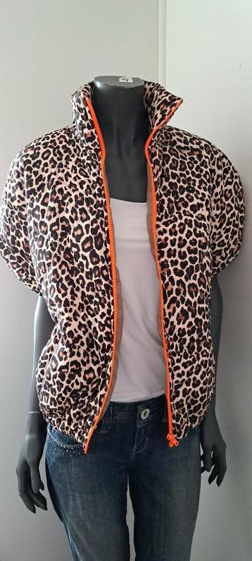 Bodywarmer leopard TU beschikbaar voor biedingen