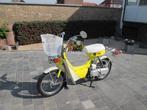 Suzuki Fa50, Klasse A (25 km/u), 49 cc, Ophalen, Overige merken