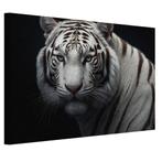 Witte tijger portret canvas 60x40cm - 18mm., Antiek en Kunst, Verzenden