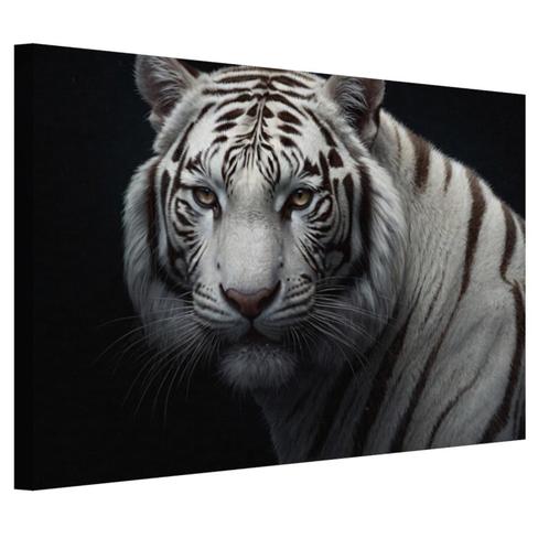 Witte tijger portret canvas 60x40cm - 18mm., Antiek en Kunst, Kunst | Schilderijen | Modern, Verzenden