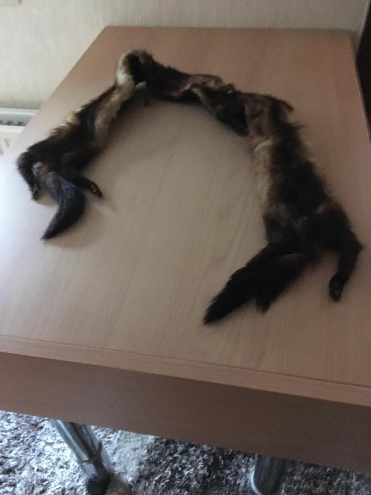 bontsjaal in echte pels – volledig gevoerd, Kleding | Dames, Mutsen, Sjaals en Handschoenen, Zo goed als nieuw, Sjaal, Ophalen of Verzenden