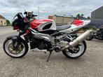 Aprilia	Tuono 1000R, Bedrijf, Meer dan 35 kW, 1000 cc