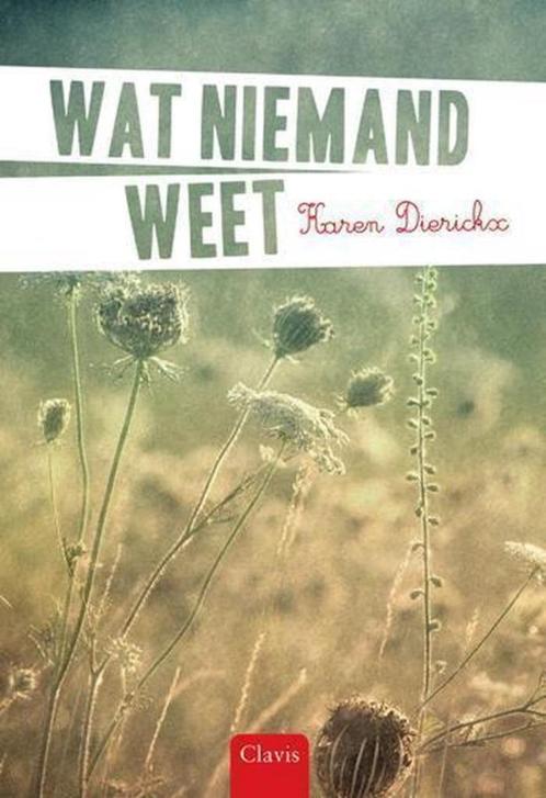 wat niemand weet   karen dierickx, Boeken, Kinderboeken | Jeugd | 13 jaar en ouder, Zo goed als nieuw, Ophalen of Verzenden