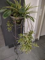 Plantenstandaard  met planten, Huis en Inrichting, Kamerplanten, Ophalen