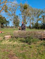 Gezocht Stihl MS 880/881, Tuin en Terras, Brandhout, Ophalen